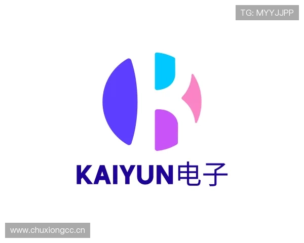 介绍kaiyun电子